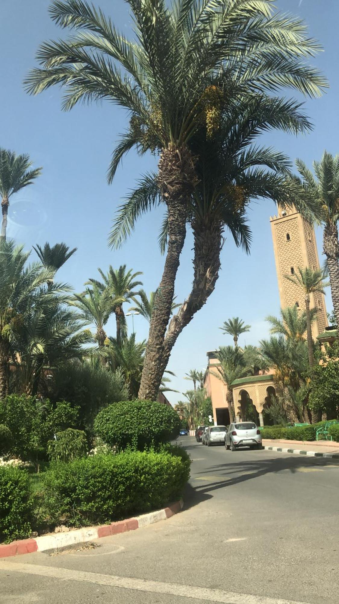 Riad Lyna 마라케시 외부 사진